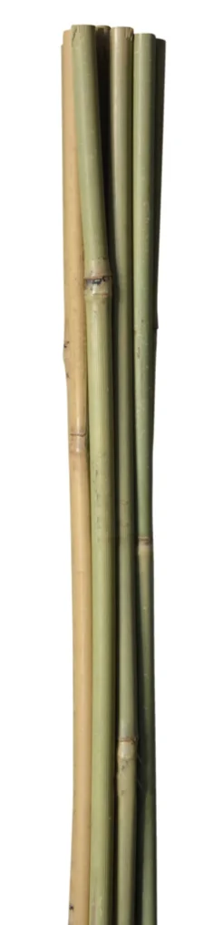Bambuspinne 90 cm 4 stk.