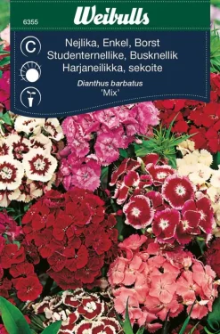 Busknellik "Mix"