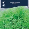 Dill 'Mammut'