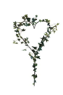Espalier hjerteformet 39 x 79 cm - Gardenlife
