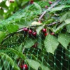 Fuglenett 2 x 5 meter - Garden®