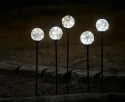 Glasskuler på spyd 50 LED 5-pk.