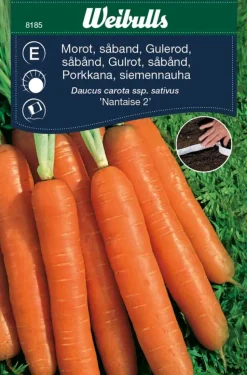 Gulrot, sommer 'Nantaise 2'