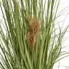 Kunstgress med ekte pampas 120 cm