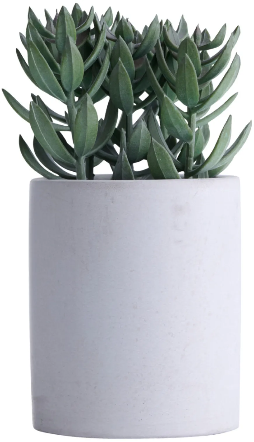 Kunstig plante tetragona H19 cm