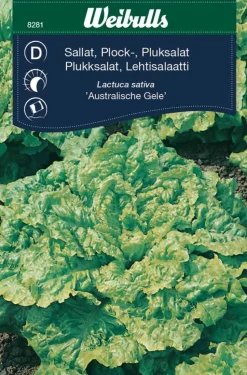 Plukksalat "Australische Gele"