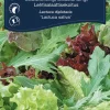 Salatblanding 'Baby Leaf'