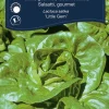 Salat, gourmet 'Little Gem'