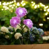 Solcelleblomst Hortensia – Garden®