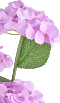 Solcelleblomst Hortensia – Garden®