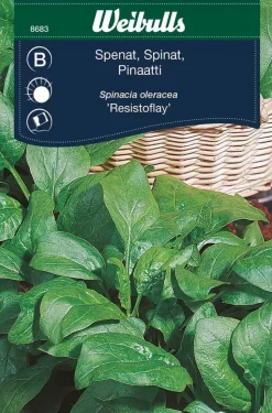 Spinat "Fabris"