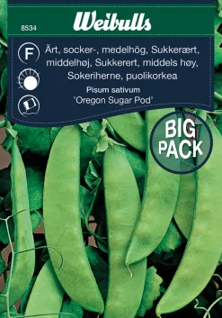 Sukkerert høy 'Oregon Sugar Pod'