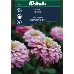 Zinnia Elegans 'Dream Lavender'